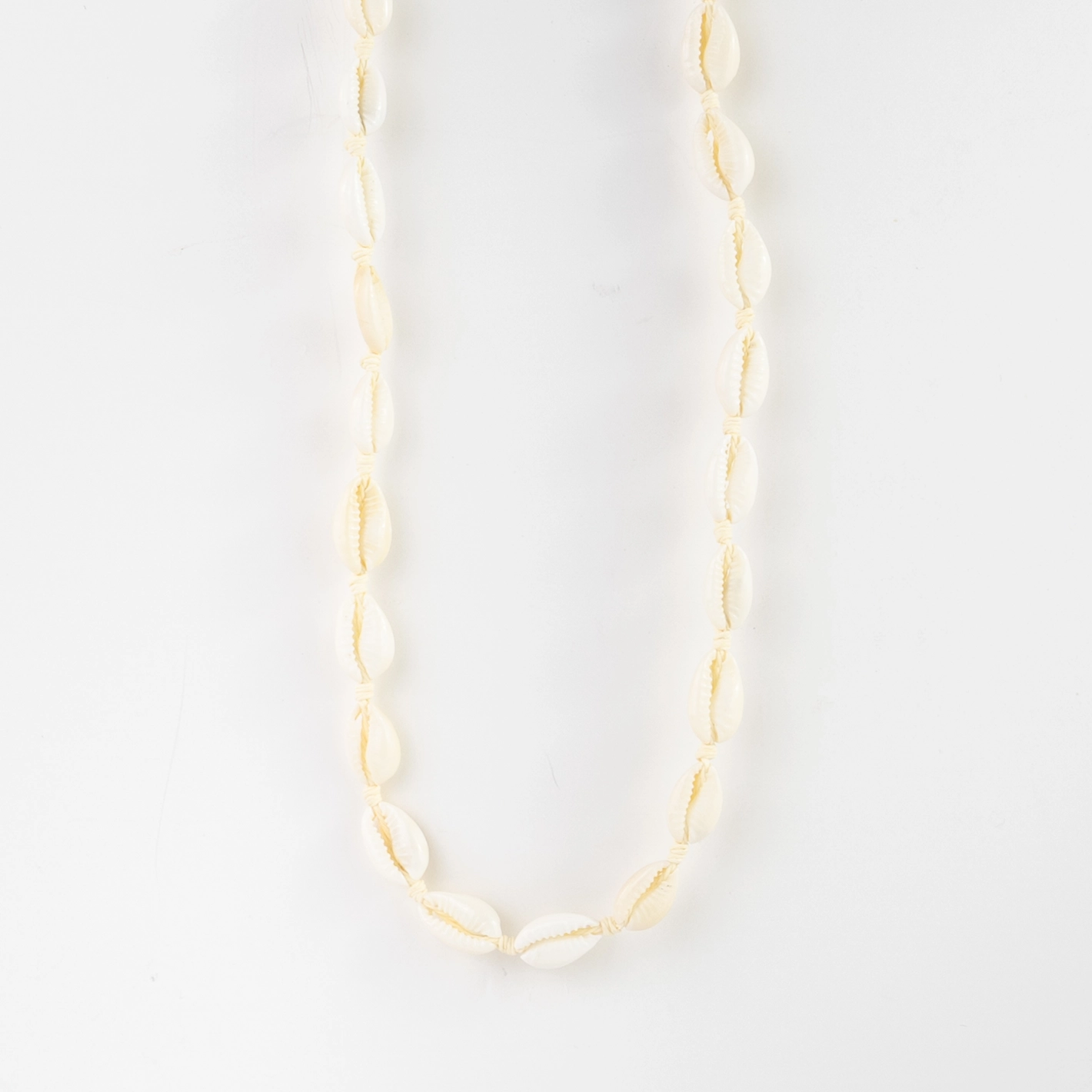 Natural Cowrie Shell Choker Necklace