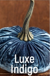 Velvet Pumpkin