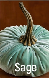 Velvet Pumpkin