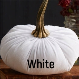 Velvet Pumpkin